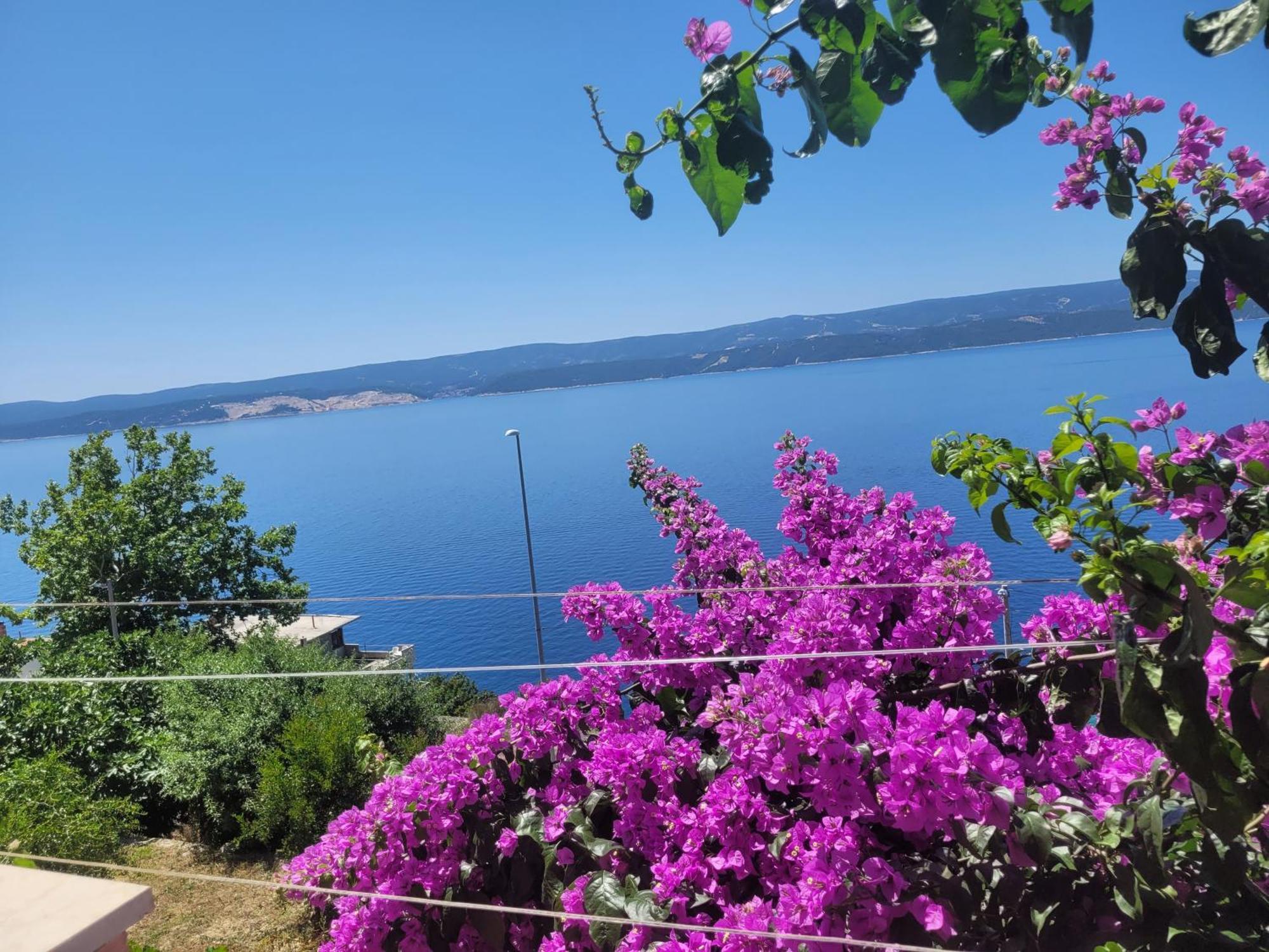 Coko Apartman *