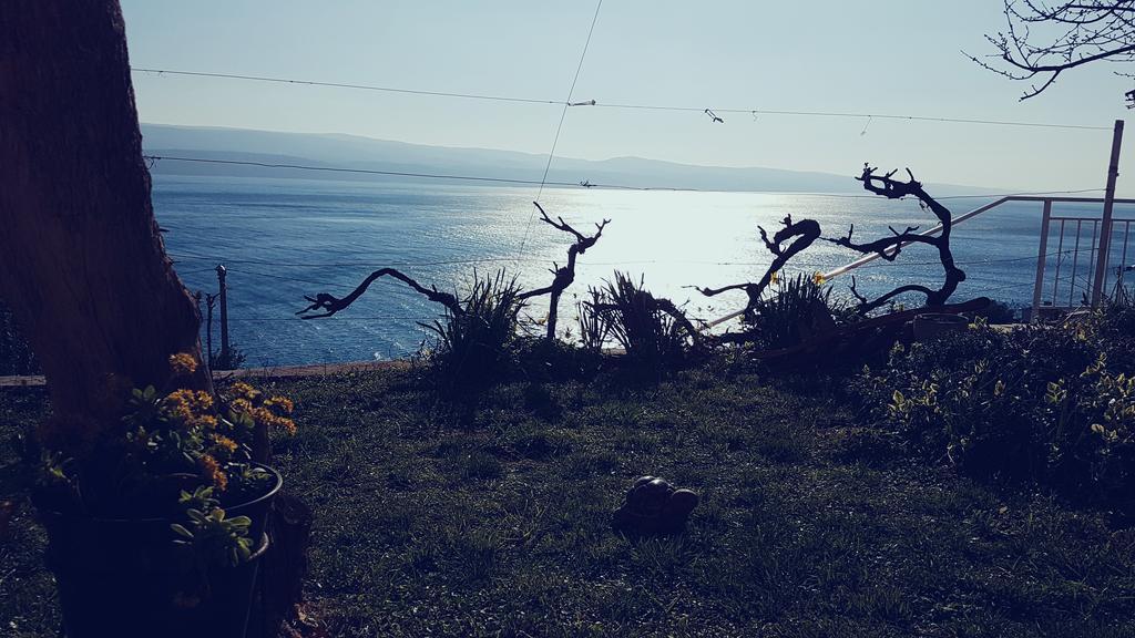 Coko * Omiš